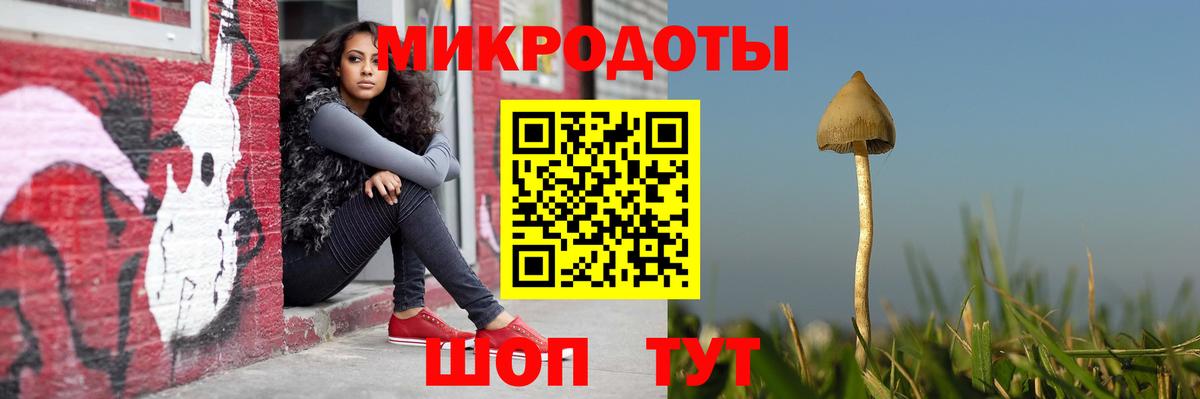 Псилоцибиновые грибы Psilocybine cubensis Иркутск